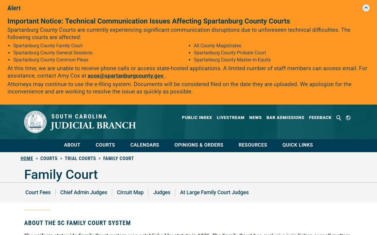 Allendale County court records Family Court overview